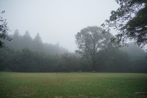 DSC06066