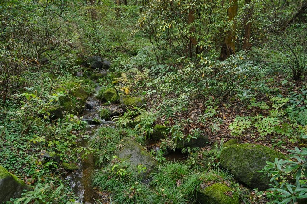 DSC06625