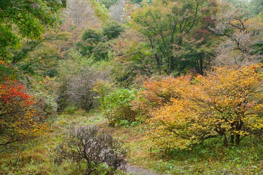 DSC06628