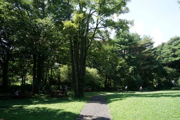 DSC06847-1