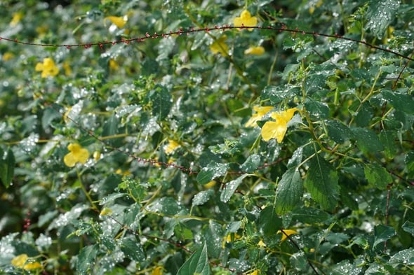 DSC08170