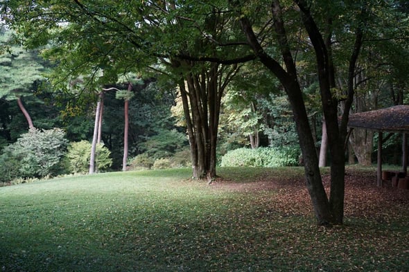 DSC08939