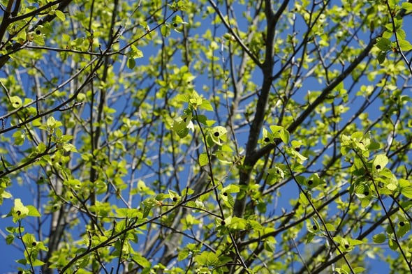 DSC09792