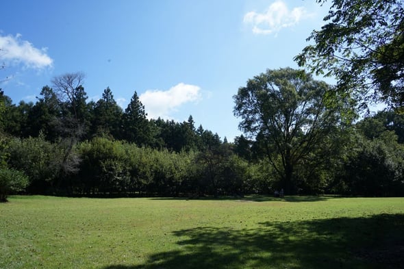 DSC09899