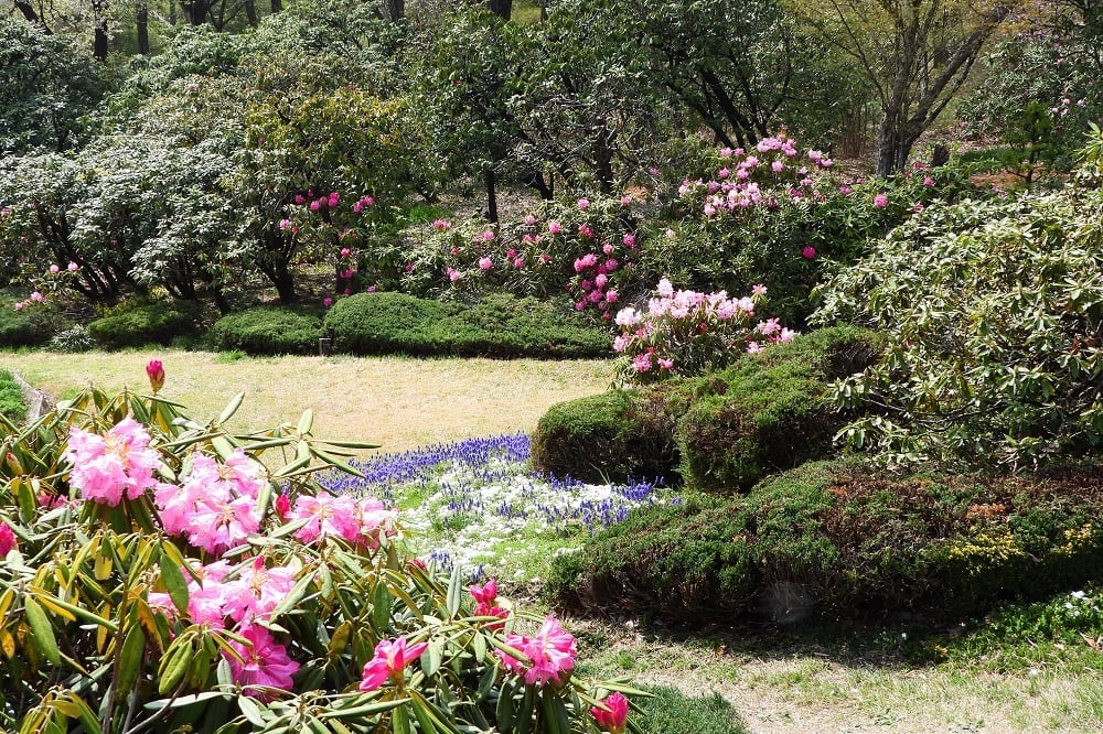 ヤハヤ様確認用 TTRO様確認用② ちー様確認用 ハチ様確認用 Hitachi Excavator DR ZX