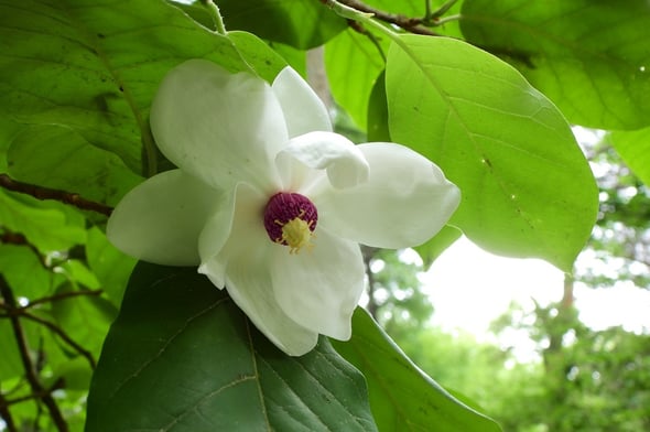 DSCN5565