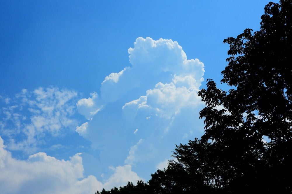 DSCN5806