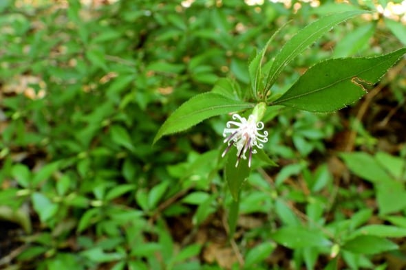 DSCN5839