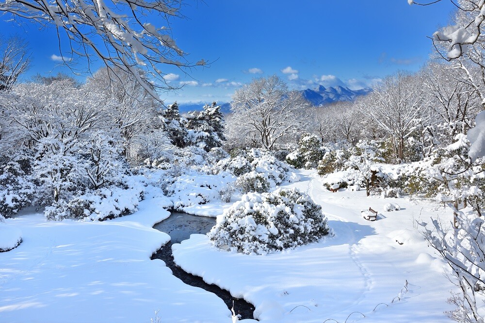 寒波の2月 | スタッフブログ | 赤城自然園