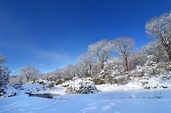 DSC_2057 (1)