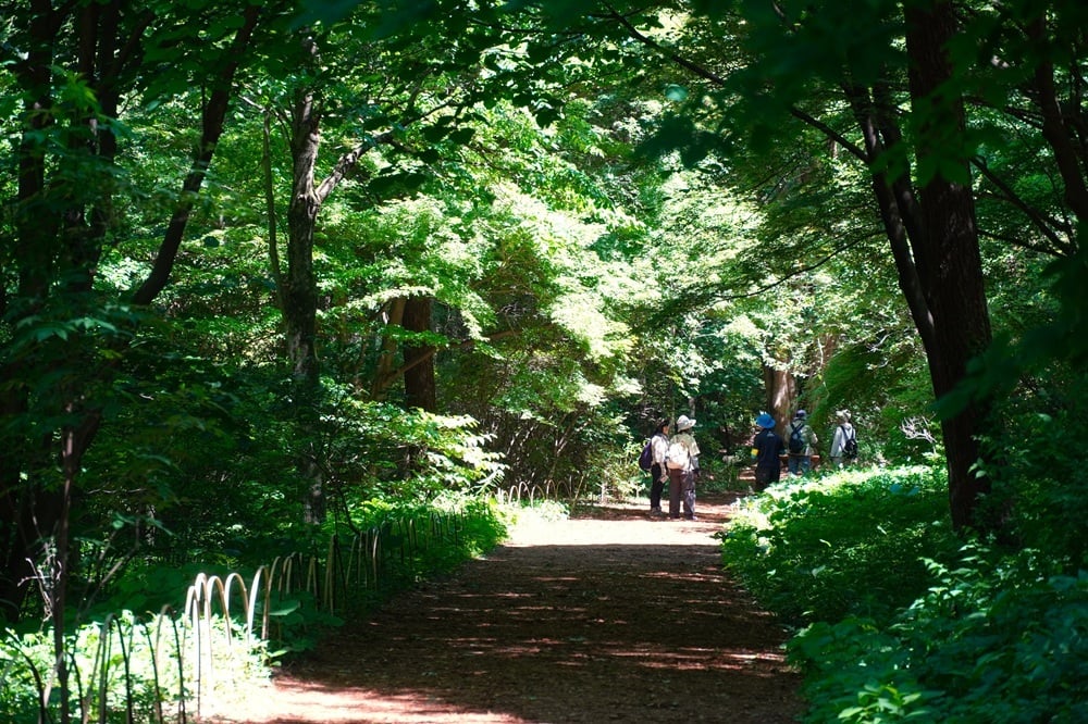 園内風景 | 今日の赤城自然園 | 赤城自然園