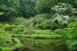 今日の赤城自然園