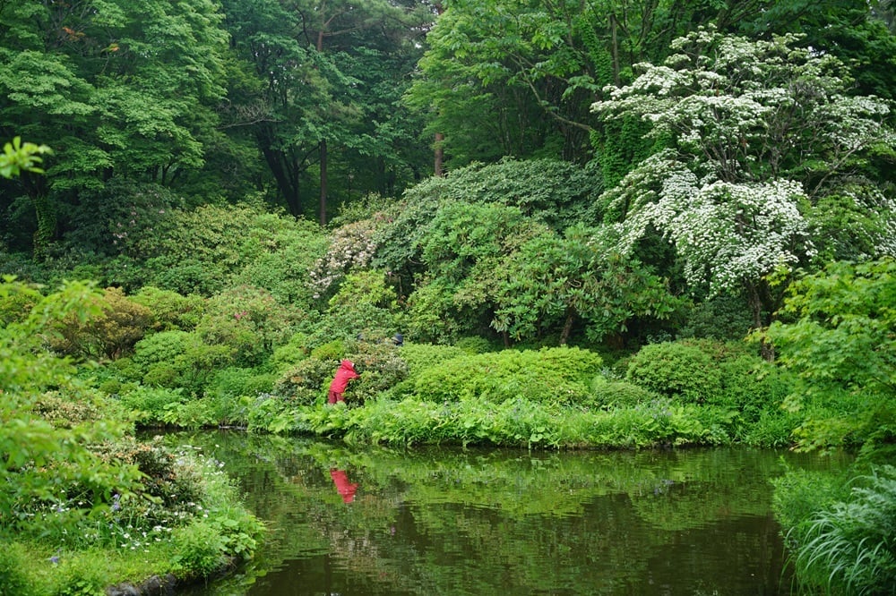 園内風景 | 今日の赤城自然園 | 赤城自然園