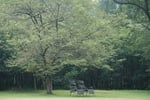 今日の赤城自然園