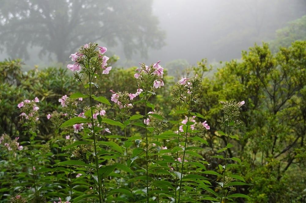 0829_2