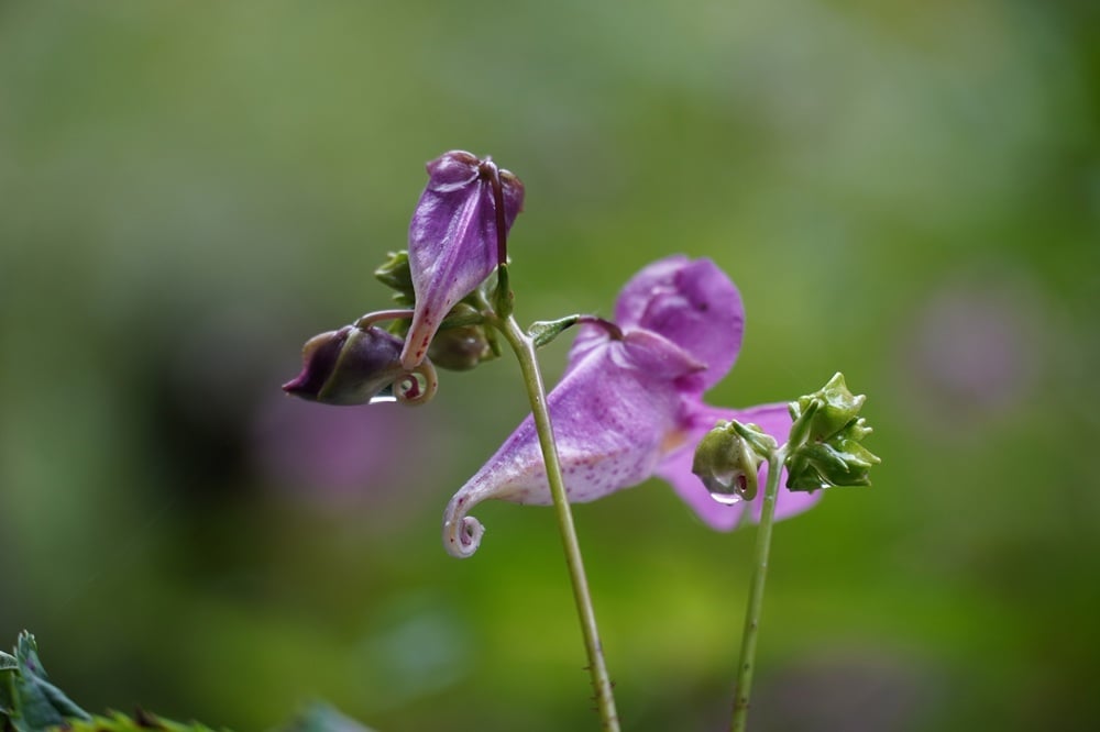 0904