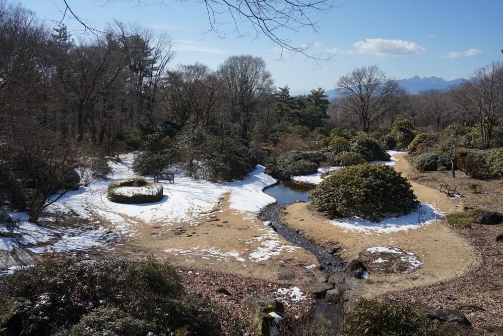 今日の赤城自然園