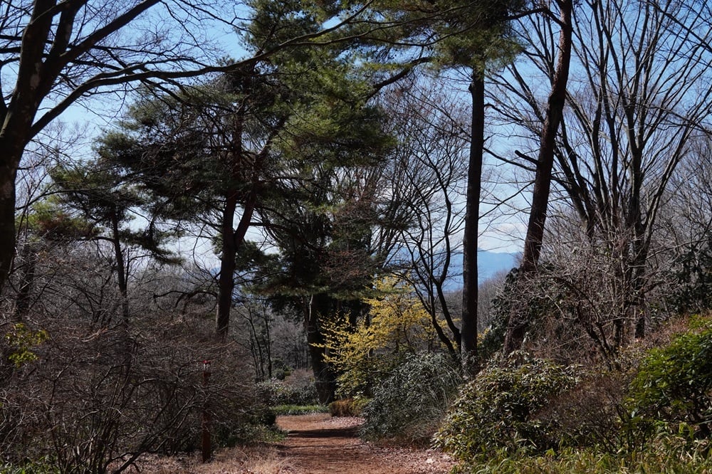 今日の赤城自然園