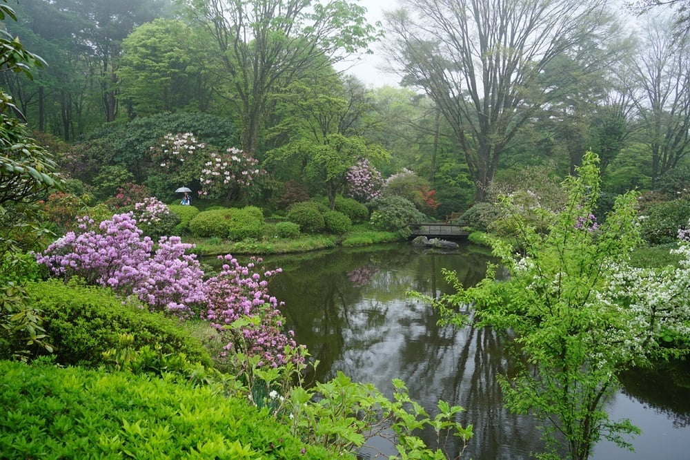 園内風景 | 今日の赤城自然園 | 赤城自然園