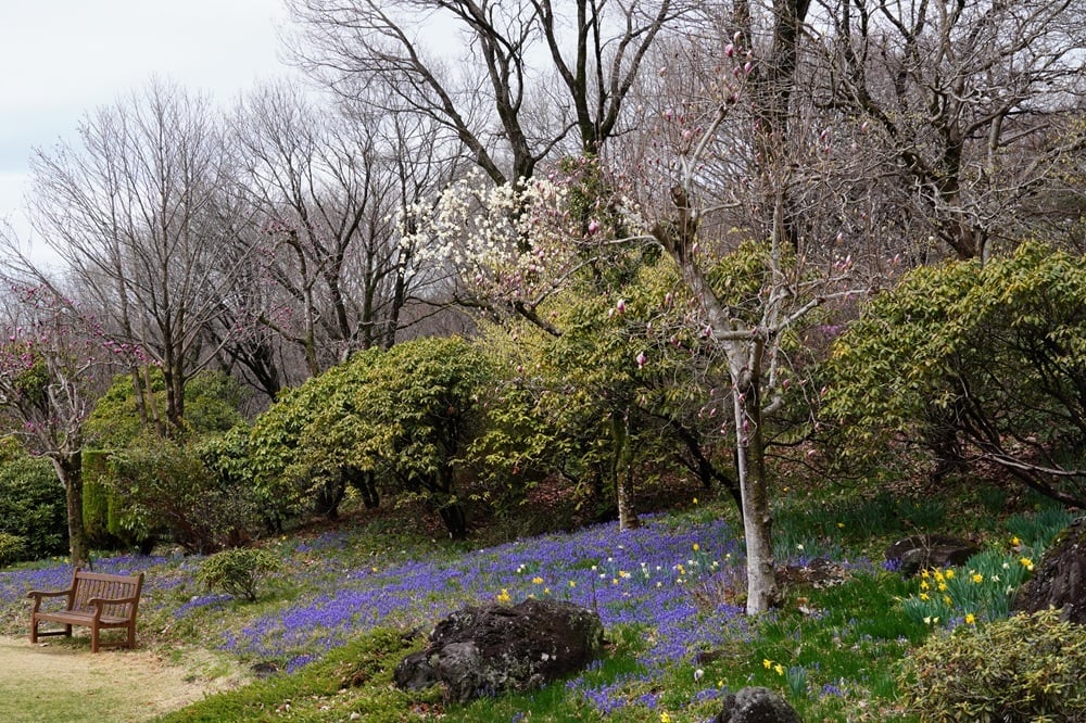 今日の赤城自然園