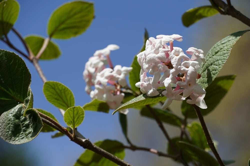 今日の赤城自然園