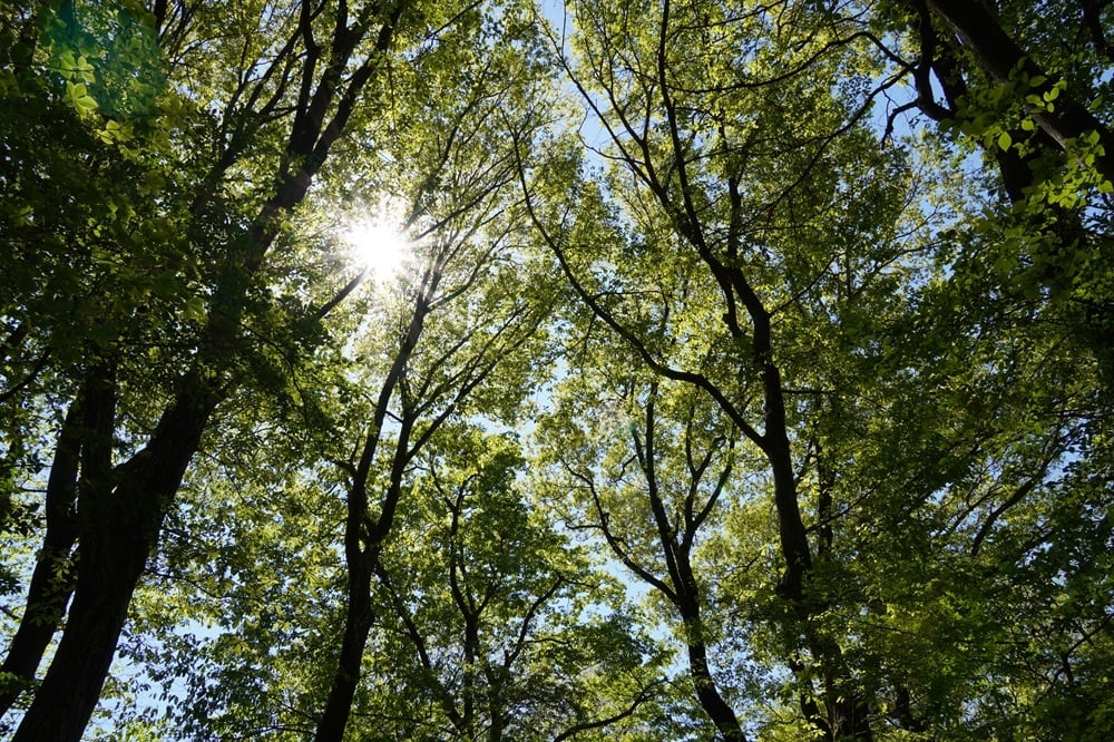 20260505_1