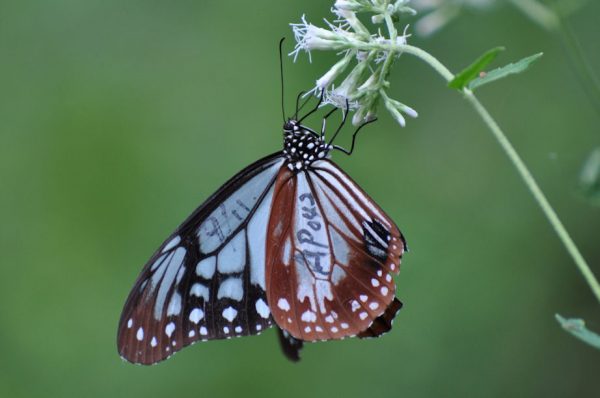 AP042愛知県森林公園