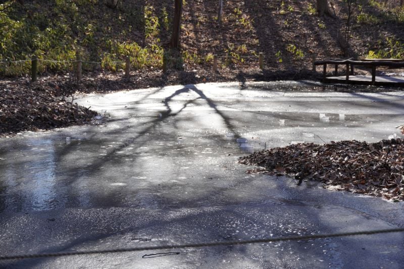 今日の赤城自然園