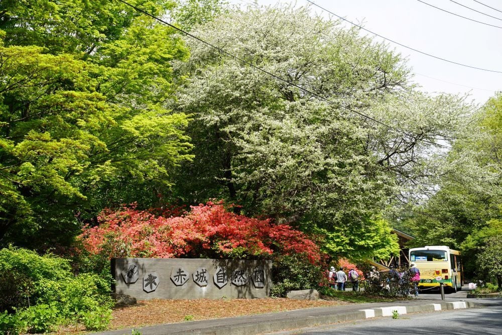 DSC00063-1