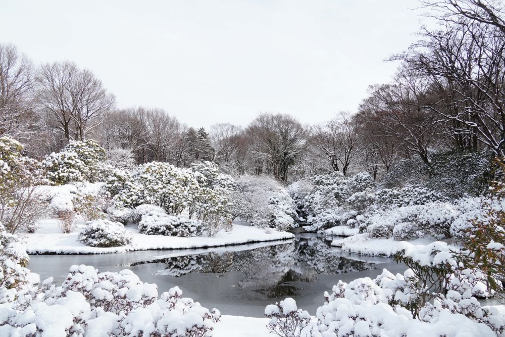 園内風景 | 今日の赤城自然園 | 赤城自然園