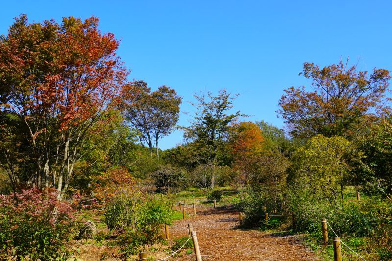 DSC00172-1