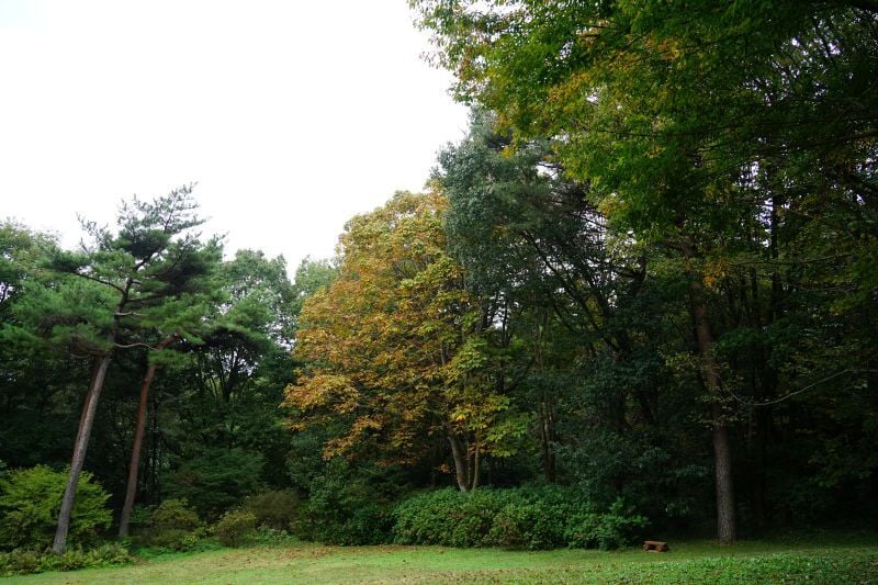 DSC00201-1
