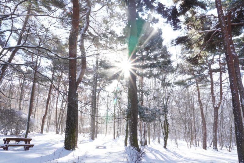 今日の赤城自然園