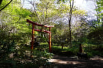 今日の赤城自然園
