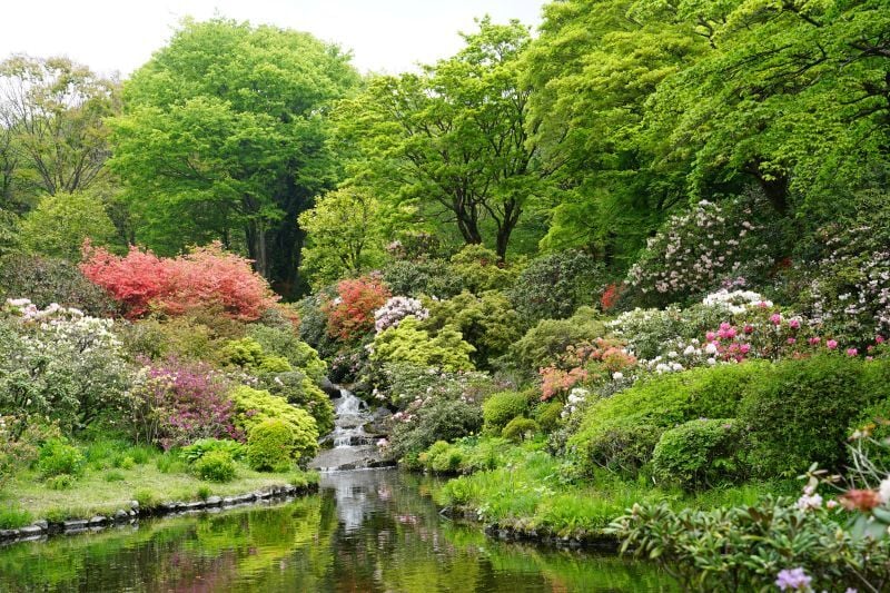 園内風景 | 今日の赤城自然園 | 赤城自然園