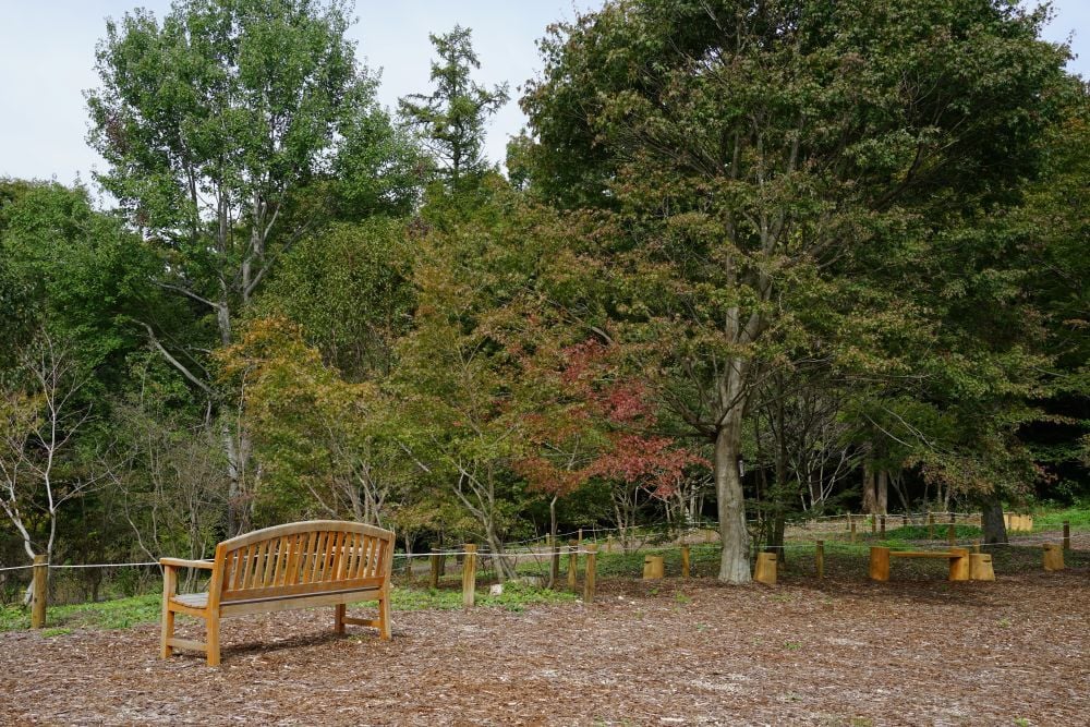 DSC00388-1