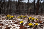 今日の赤城自然園