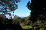 今日の赤城自然園