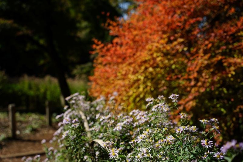 DSC00610
