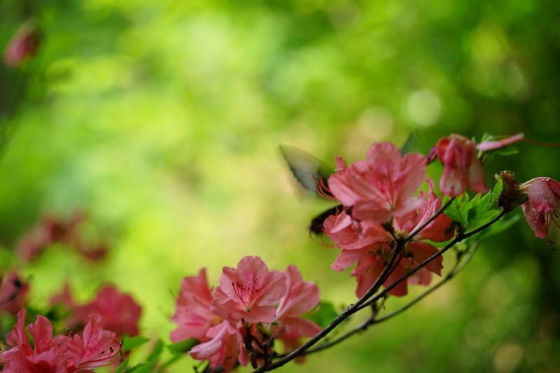 DSC00919