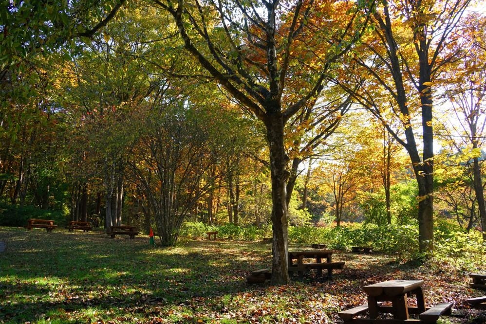 今日の赤城自然園