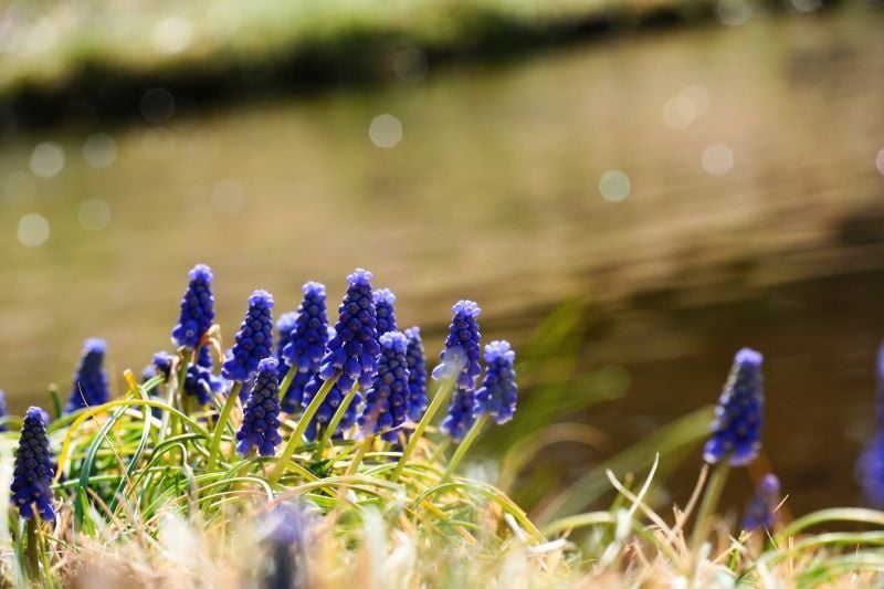 今日の赤城自然園
