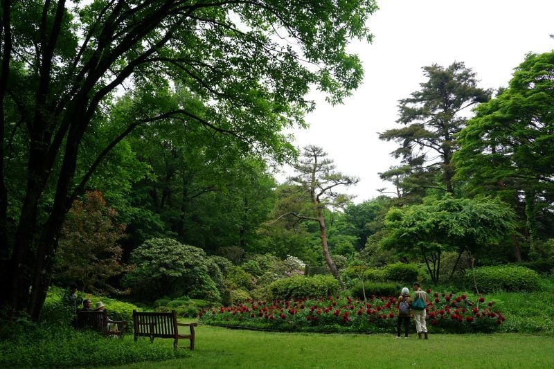 園内風景 | 今日の赤城自然園 | 赤城自然園