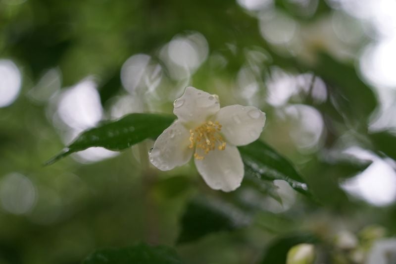 DSC01643