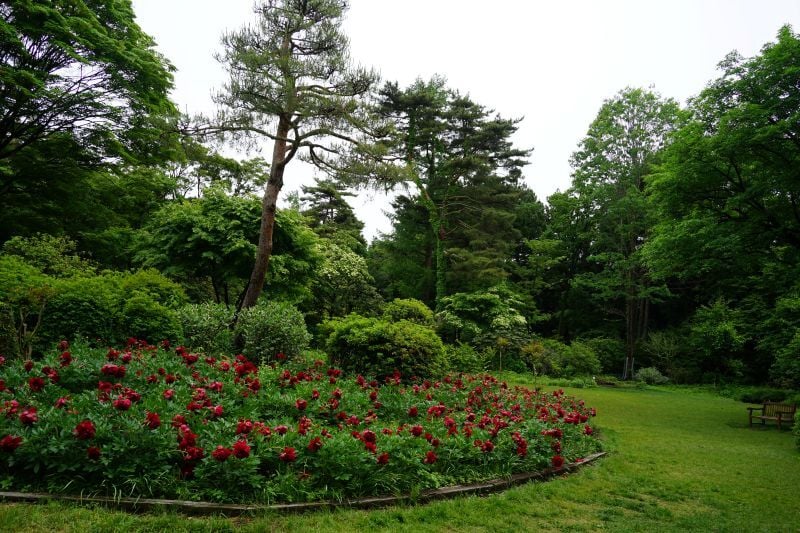 園内風景 | 今日の赤城自然園 | 赤城自然園