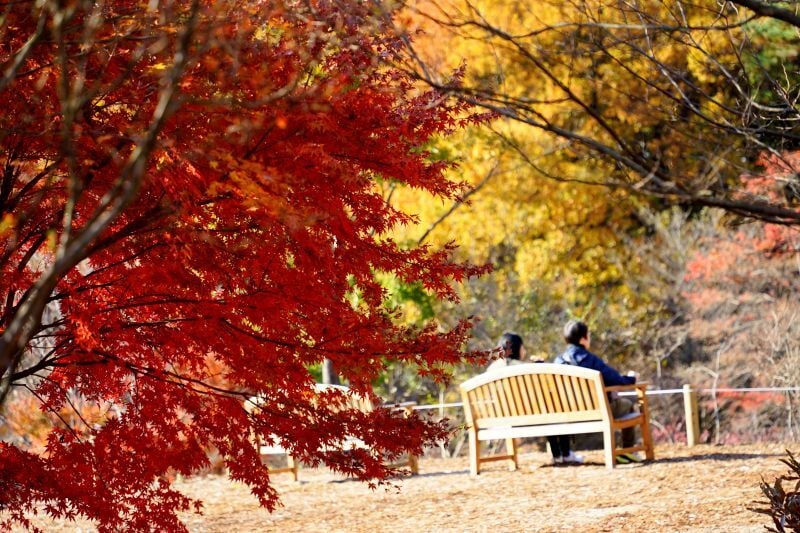 園内風景 | 今日の赤城自然園 | 赤城自然園