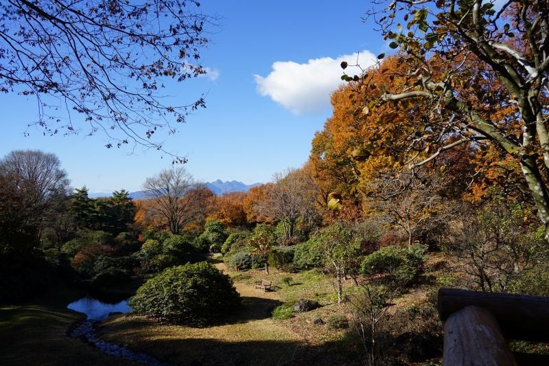 今日の赤城自然園