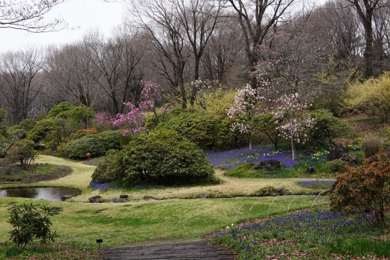 園内風景 | 今日の赤城自然園 | 赤城自然園