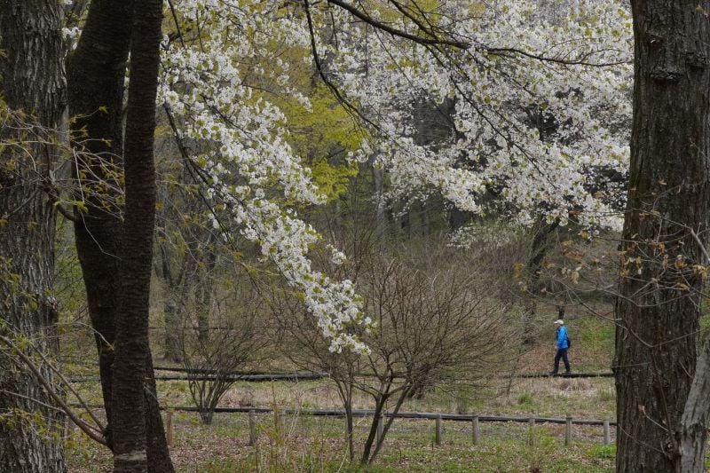 今日の赤城自然園