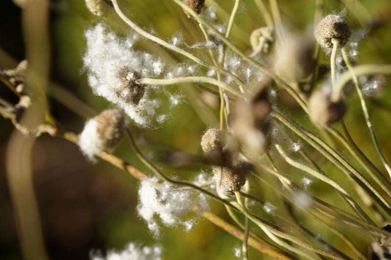今日の赤城自然園